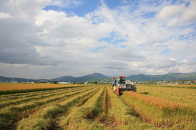Việt Nam được đánh giá cao về phát triển nông thôn và xóa đói giảm nghèo tại Hội nghị AMRDPE 8